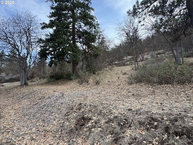 Coopers Hawk Rd, Klamath Falls, OR 97601