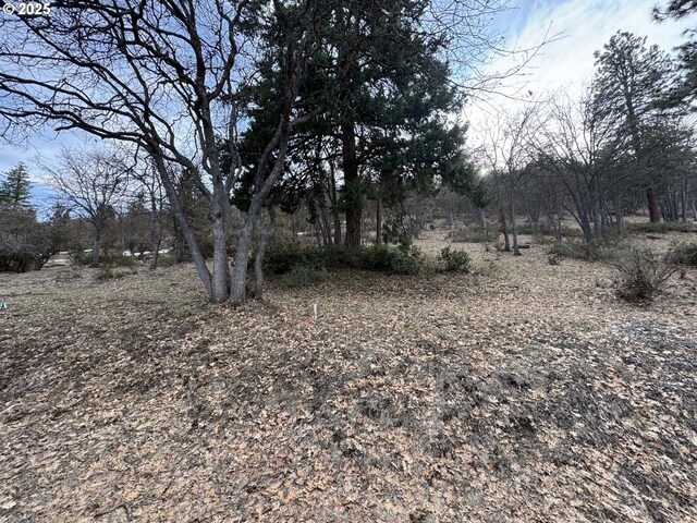 Coopers Hawk Rd, Klamath Falls, OR 97601