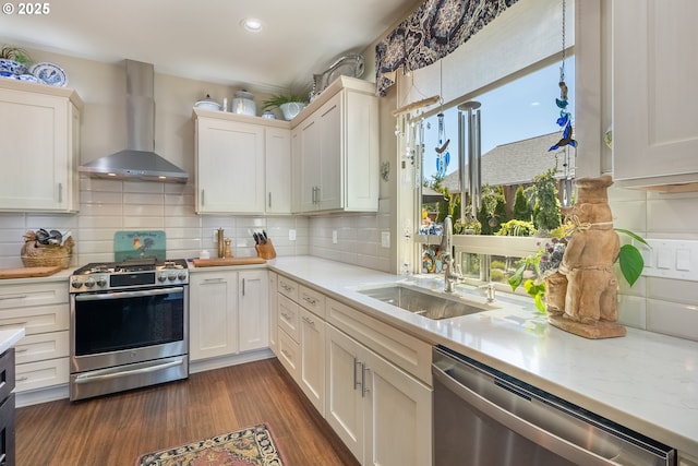 kitchen featuring wall chimney range hood, tasteful backsplash, appliances with stainless steel finishes, and a sink