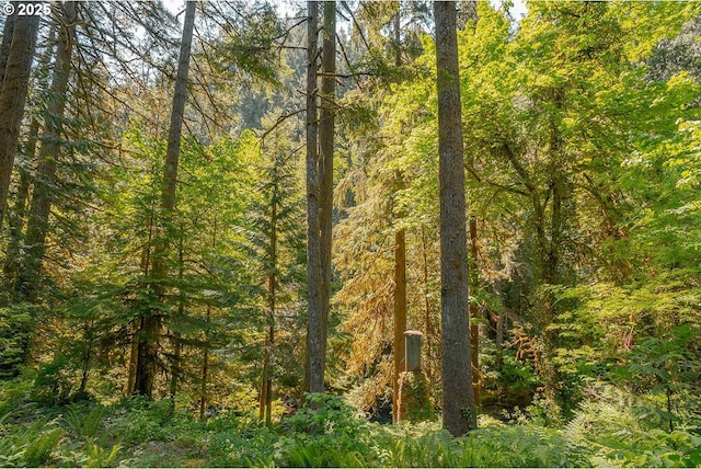 25815 NE Lucia Falls Rd, Yacolt, WA 98675 - view of tree filled area