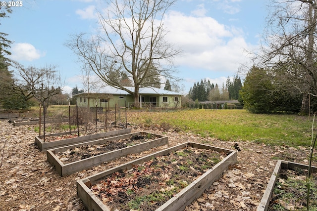 view of yard featuring a vegetable garden