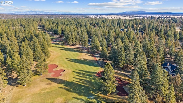 drone / aerial view featuring a mountain view and a forest view