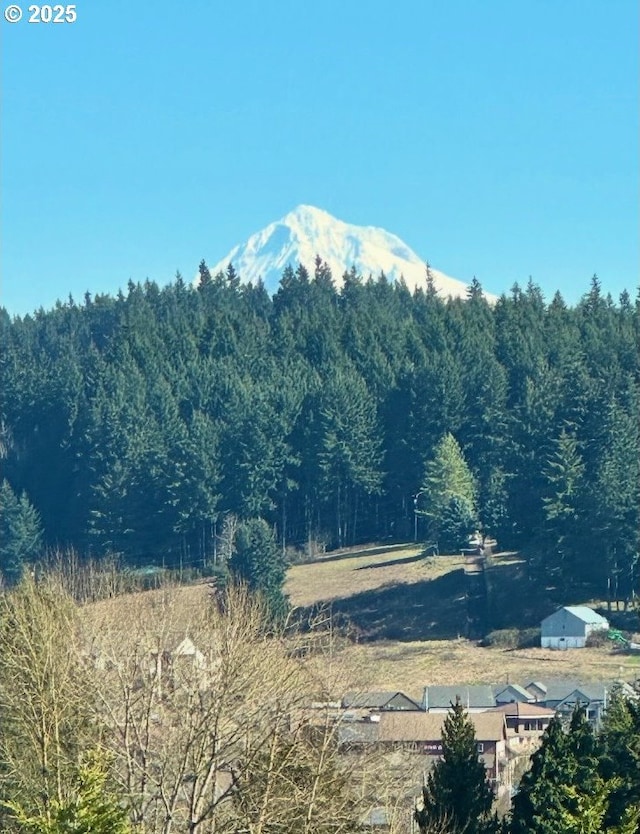 mountain view with a forest view