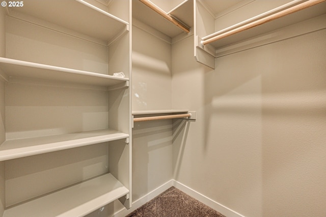 walk in closet featuring dark carpet