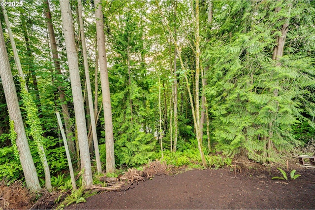 view of undeveloped land