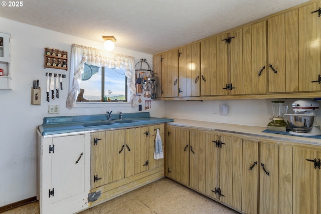 19587 NW Adcock Rd, Yamhill, OR 97148 - kitchen featuring a sink, a textured ceiling, light countertops, and light floors