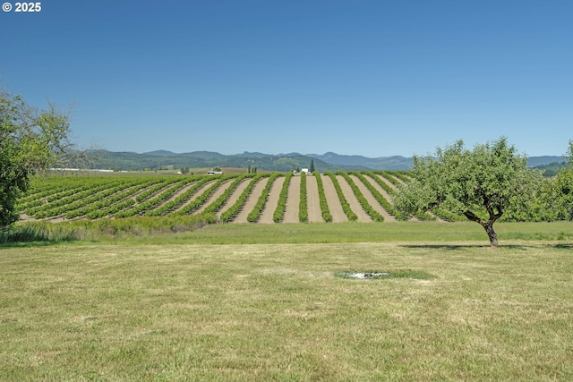 19587 NW Adcock Rd, Yamhill, OR 97148 - view of green lawn with a mountain view, agricultural plots, and a rural view