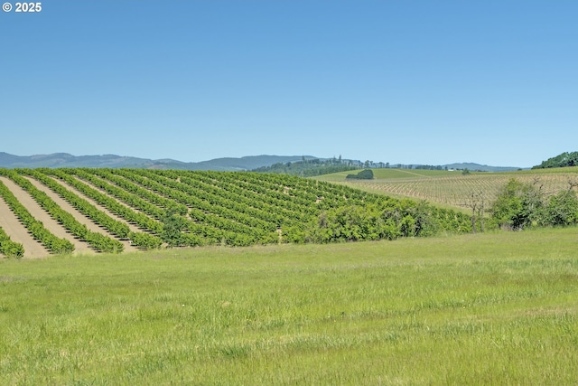 19587 NW Adcock Rd, Yamhill, OR 97148 - view of mountain backdrop featuring extensive farmland and rural landscape