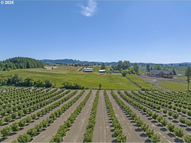 19587 NW Adcock Rd, Yamhill, OR 97148 - aerial view of sparsely populated area featuring a mountain backdrop and farmland