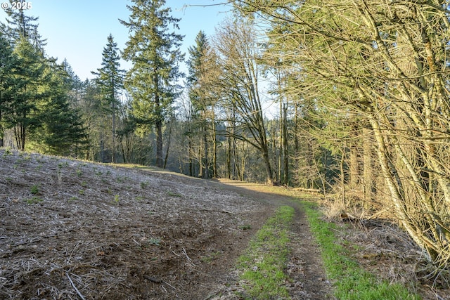 0 NE Quarry Rd, Newberg OR, 97132 land for sale