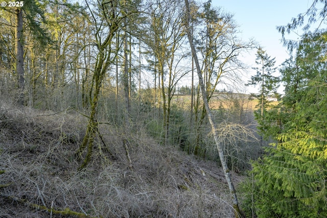 Listing photo 2 for 0 NE Quarry Rd, Newberg OR 97132