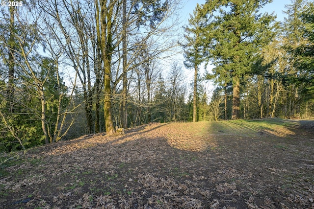 Listing photo 3 for 0 NE Quarry Rd, Newberg OR 97132