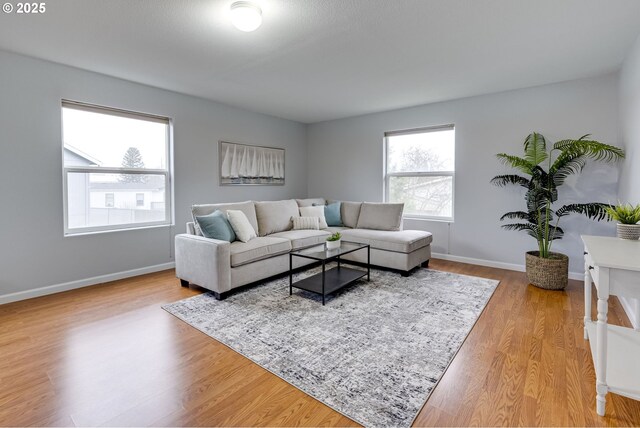 living room featuring light hardwood / wood-style flooring