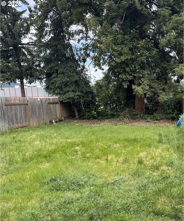 view of yard