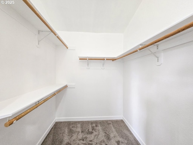 3547 SE 136th Ave, Portland, OR 97236 - walk in closet with carpet flooring