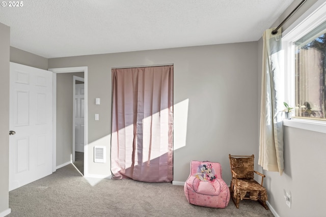 interior space featuring carpet flooring and a textured ceiling