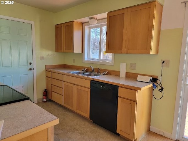 kitchen with sink and dishwasher