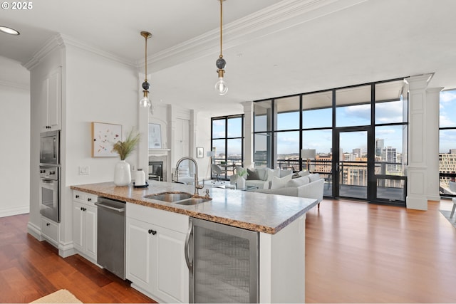 kitchen featuring crown molding, a sink, plenty of natural light, stainless steel appliances, and wood finished floors