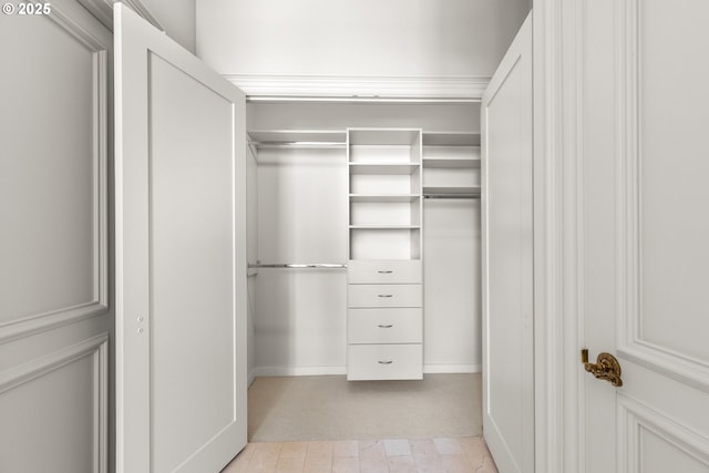 view of spacious closet
