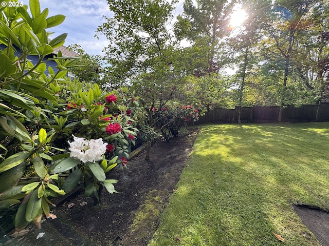 4939 Hampton Ct, Lake Oswego, OR 97035 - view of yard
