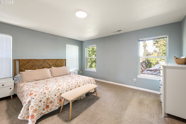 18246 SW Orlov Ct, Beaverton, OR 97078 - bedroom with carpet and baseboards