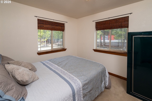 145343 Birchwood Dr, La Pine, OR 97739 - carpeted bedroom with baseboards