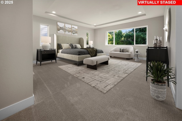 carpeted bedroom with a raised ceiling