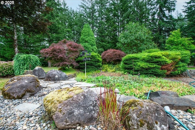 110 Dolph Dr, Ariel, WA 98603 - view of yard