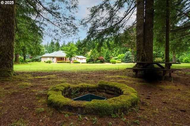 110 Dolph Dr, Ariel, WA 98603 - view of green lawn