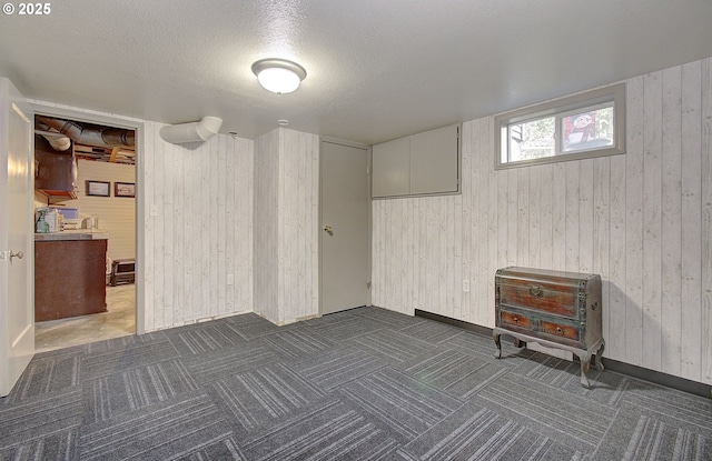 basement with a textured ceiling