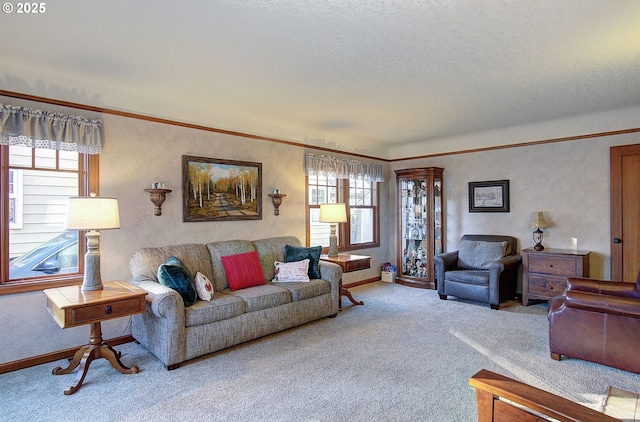 carpeted living room featuring plenty of natural light and a textured ceiling