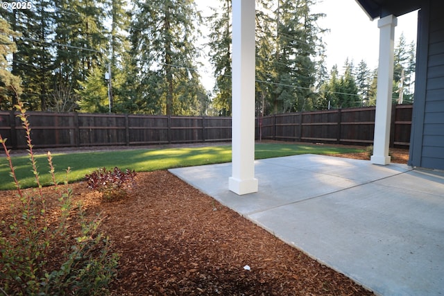 view of yard featuring a patio