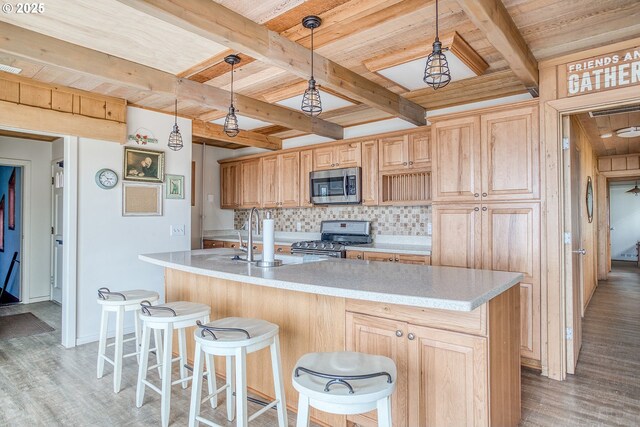kitchen with appliances with stainless steel finishes, tasteful backsplash, a sink, light countertops, and light wood-style floors