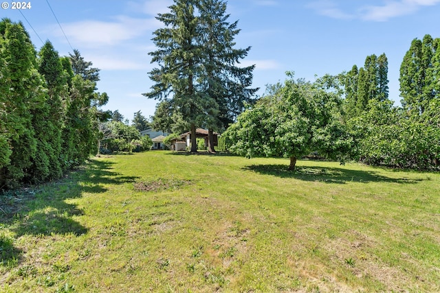 108 SE 133rd Ave, Portland, OR 97233 - view of yard