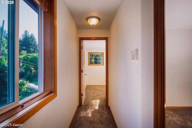 7942 N Hurst Ave, Portland, OR 97203 - hallway featuring carpet flooring, plenty of natural light, and baseboards