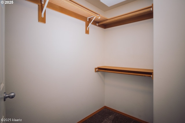 7942 N Hurst Ave, Portland, OR 97203 - spacious closet with carpet flooring