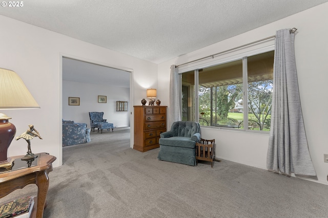 living area with a textured ceiling and carpet floors