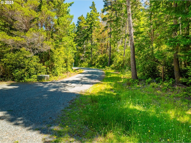 58897 Constance Dr, Bandon, OR 97411 - view of dirt / gravel road featuring a view of trees