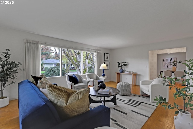 living room featuring light wood-style flooring