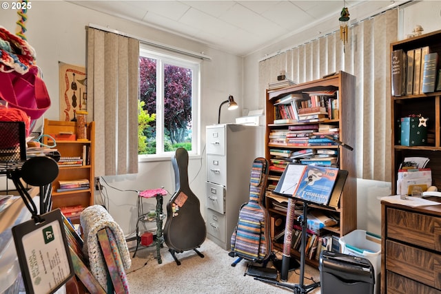 home office with carpet