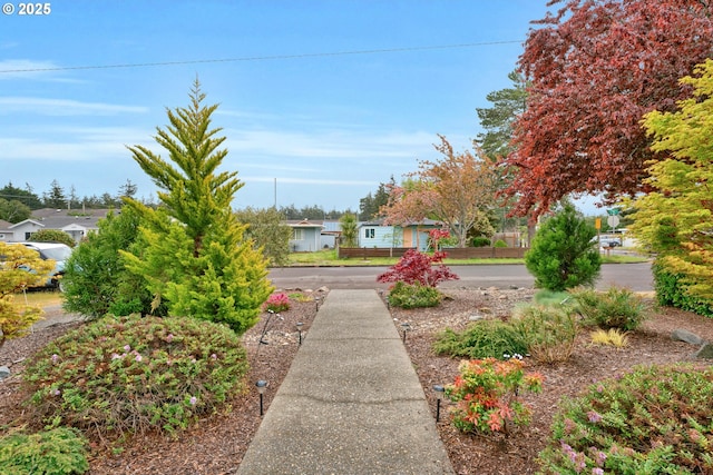 view of yard with a residential view