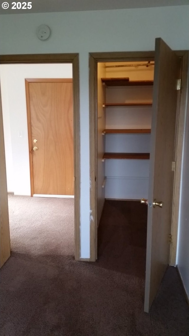 corridor featuring carpet flooring