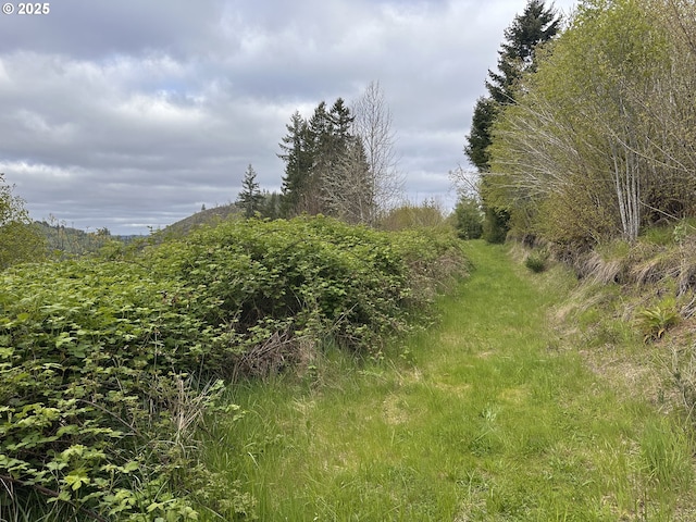view of landscape