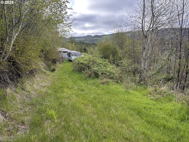 view of yard with a forest view