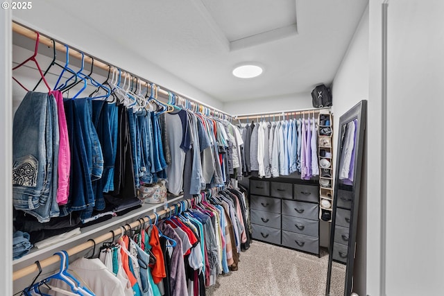764 Seacrest Dr, Bandon, OR 97411 - walk in closet with attic access and carpet floors