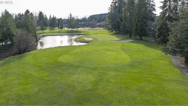 surrounding community featuring a yard and a water view