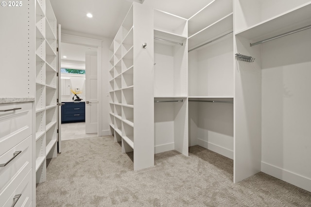 spacious closet with light colored carpet