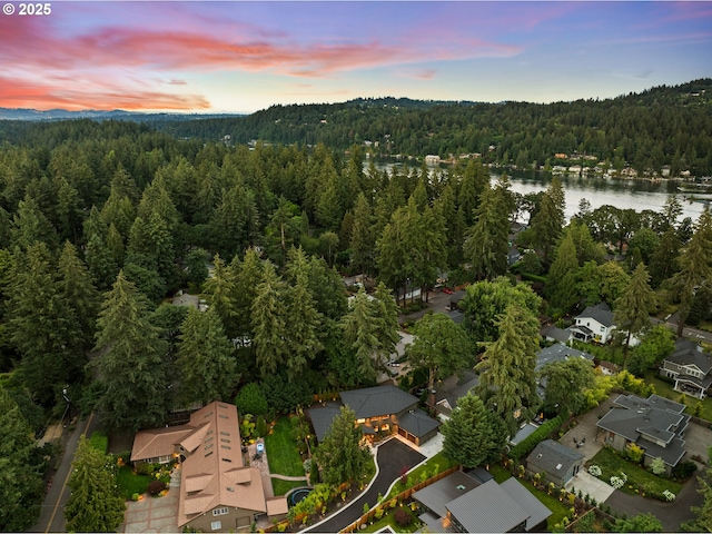 view of property location featuring a heavily wooded area, a large body of water, and nearby suburban area