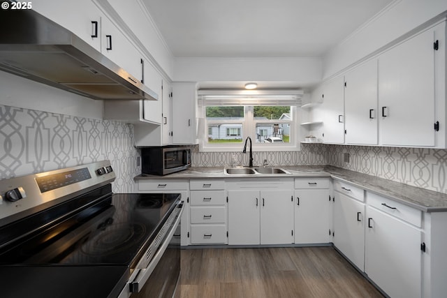 kitchen featuring appliances with stainless steel finishes, ventilation hood, a sink, white cabinets, and crown molding