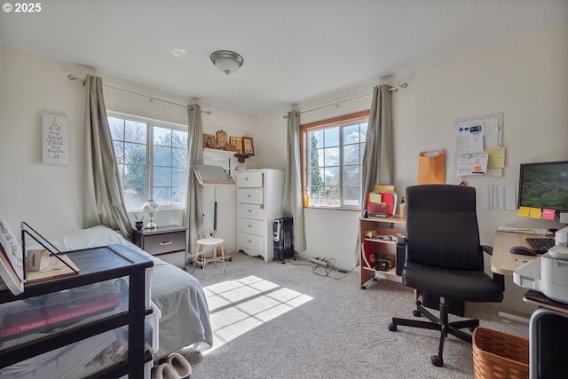 bedroom with carpet flooring